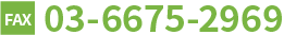 03-6675-2969